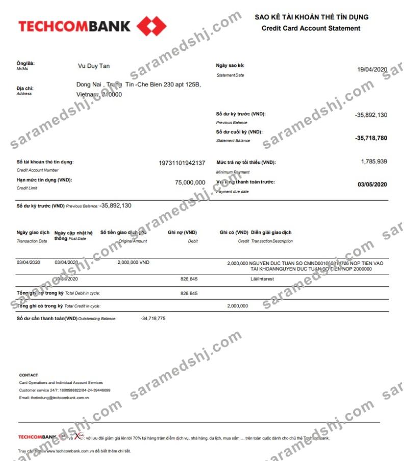 Vietnam Techcombank statement